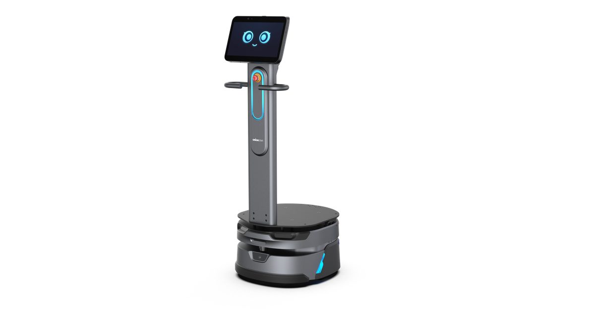 CarryBot D100 – Ansicht 1