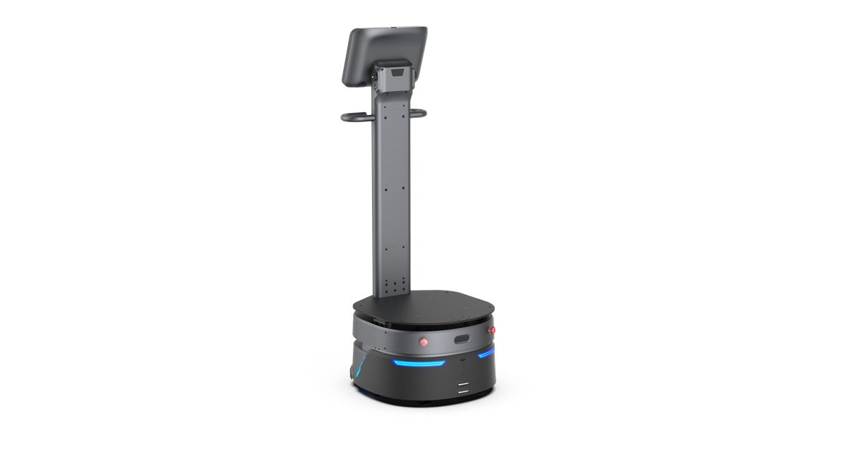 CarryBot D100 – Ansicht 2