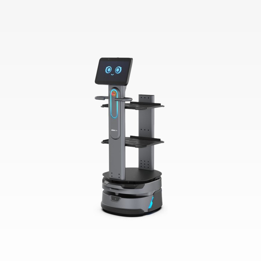 CarryBot D100